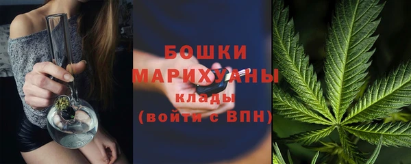 стаф Протвино