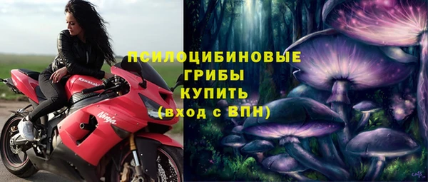 a pvp Арсеньев