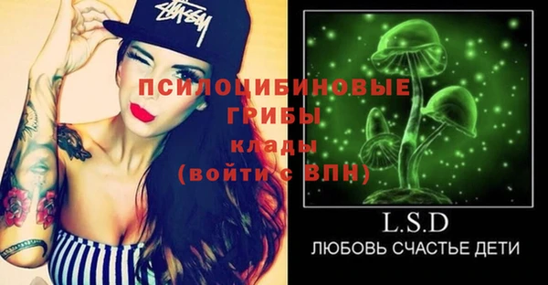 прущий лед Пересвет