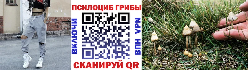 где найти   мориарти телеграм  Галлюциногенные грибы мицелий  Сольвычегодск 